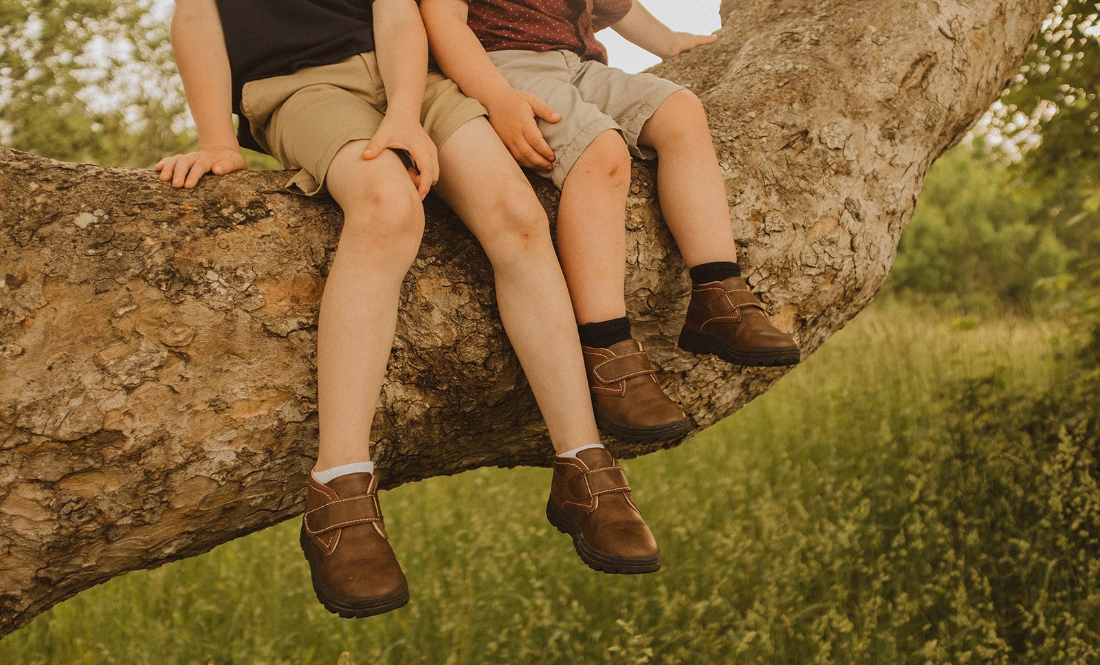 Two little boys sit on the branch of a tree. Image features the lower half of their bodies, with feet dangling in the air.